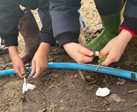 Forest School2